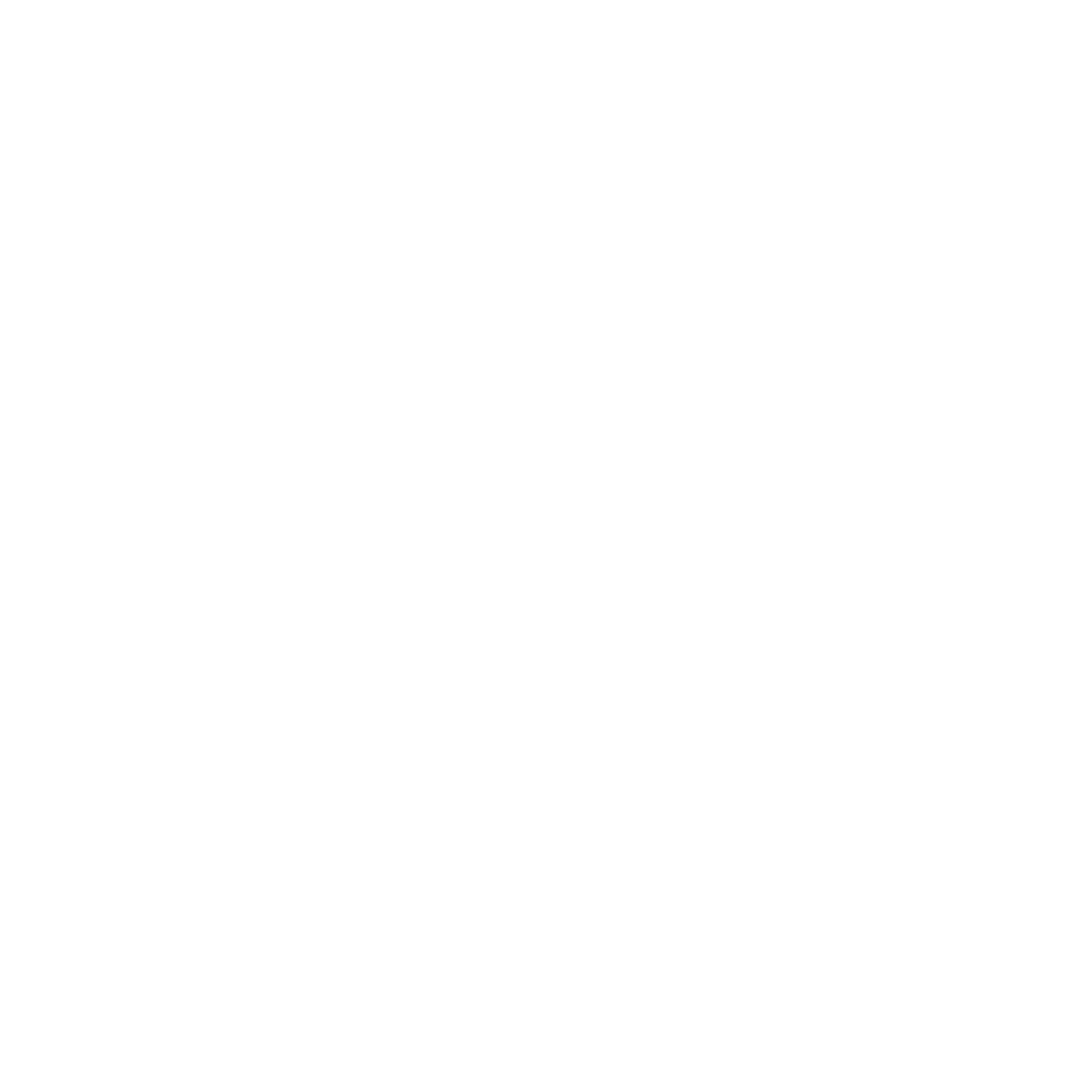 light logo
